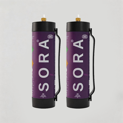 2 x SORA 4.4L